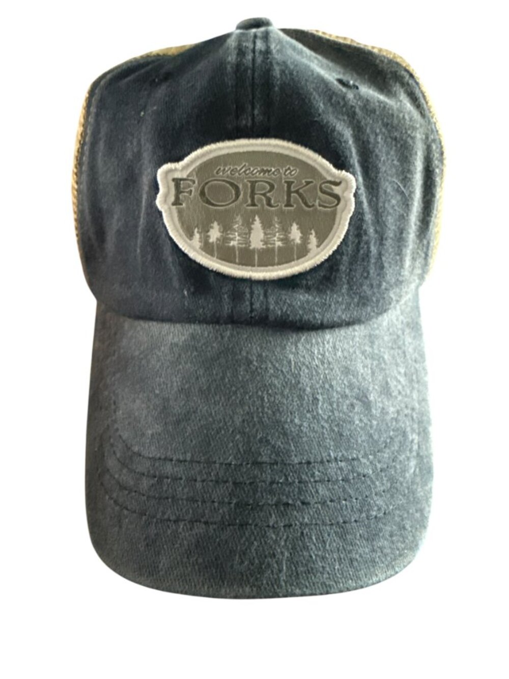 Twilight Saga Welcome To Forks Heather Navy Adjustable Hat